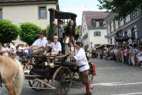 IMG_6153 (2) 